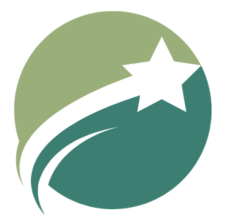 Systems Limited Logo
